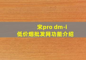 宋pro dm-i(低价烟批发网)功能介绍